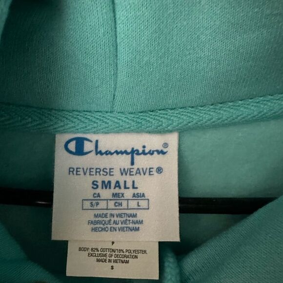 Champion heavyweight Hoodie Logo on front NWT - Picture 4 of 9